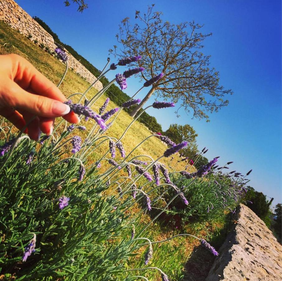 알베르벨로 Trulli Panoramici B&B 외부 사진