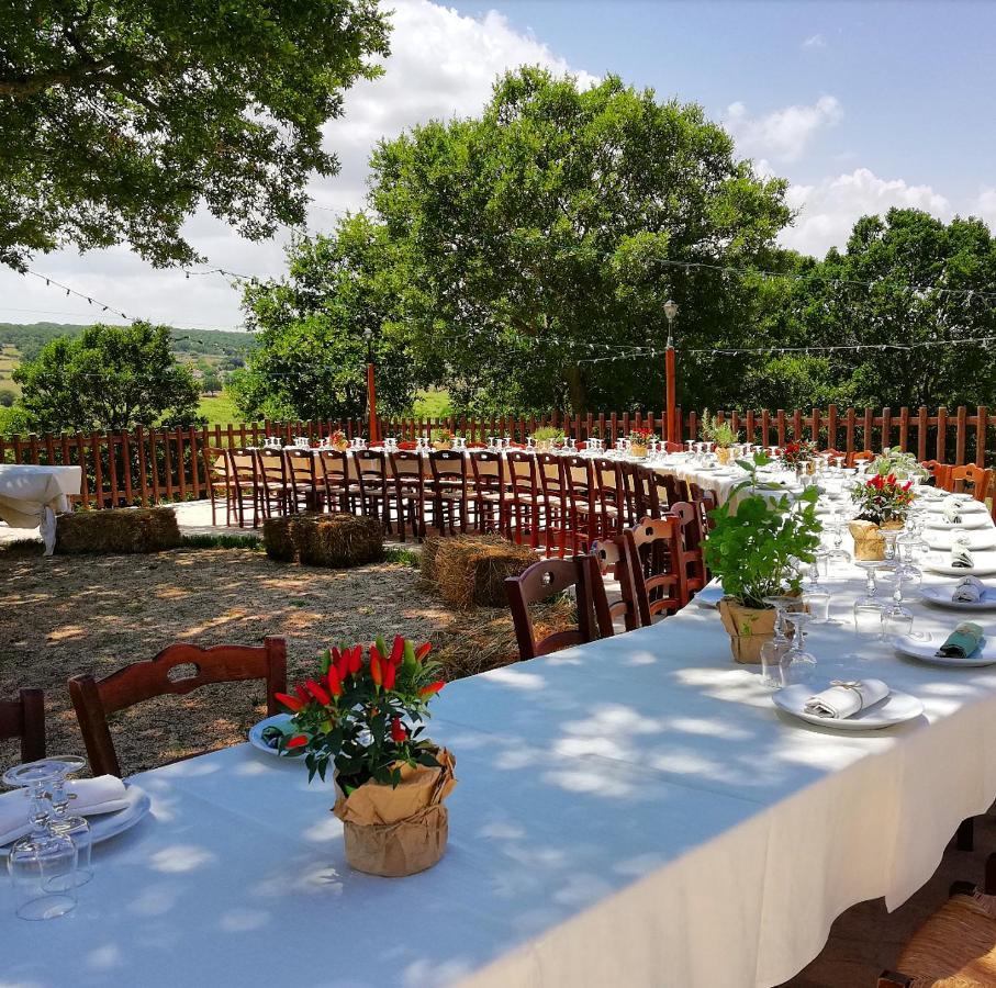 알베르벨로 Trulli Panoramici B&B 외부 사진