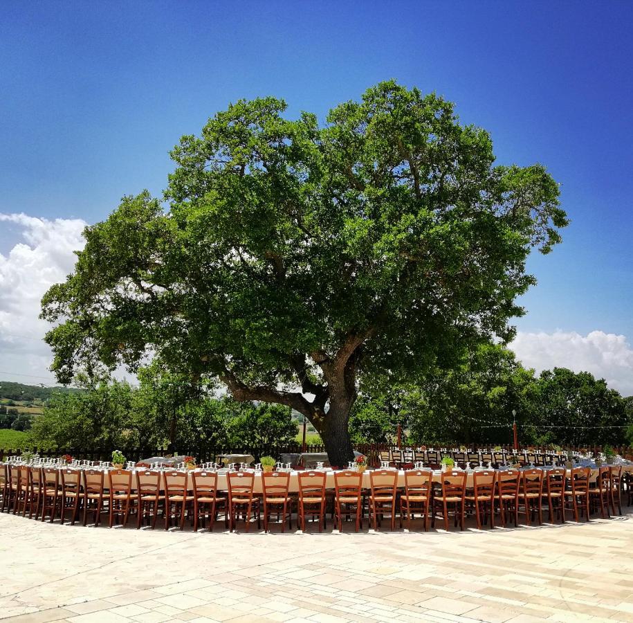 알베르벨로 Trulli Panoramici B&B 외부 사진