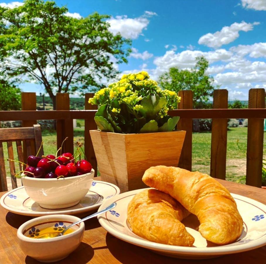 알베르벨로 Trulli Panoramici B&B 외부 사진